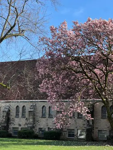 A pop of pink brings old stone to life.